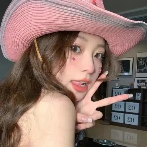 美国犯罪的最后日子